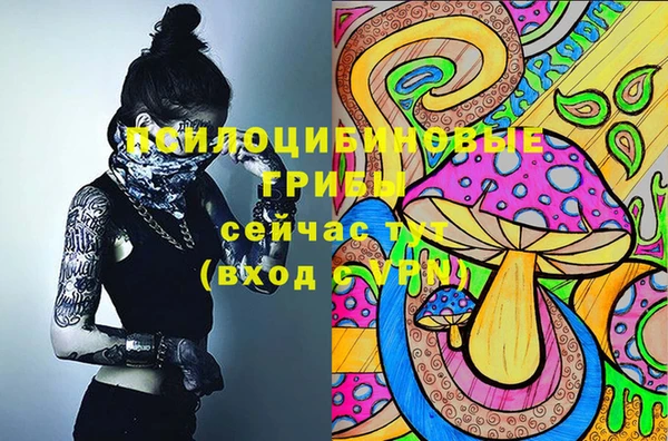 спиды Гусев