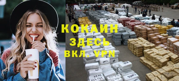 стафф Дмитриев