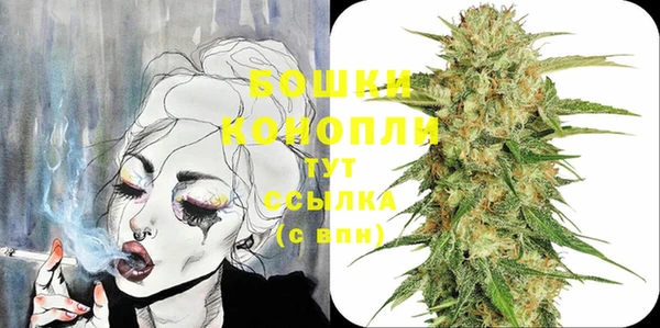 стафф Дмитриев