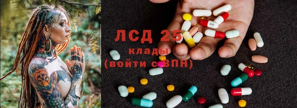 спиды Гусев