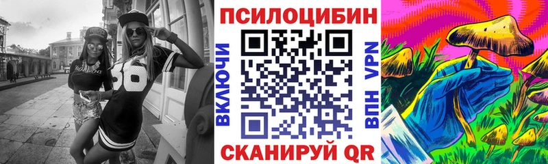 Псилоцибиновые грибы Cubensis  Ангарск 